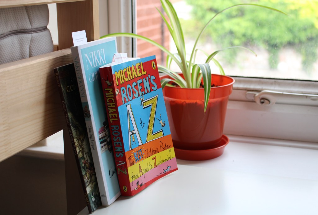 Let the Little Spiders in