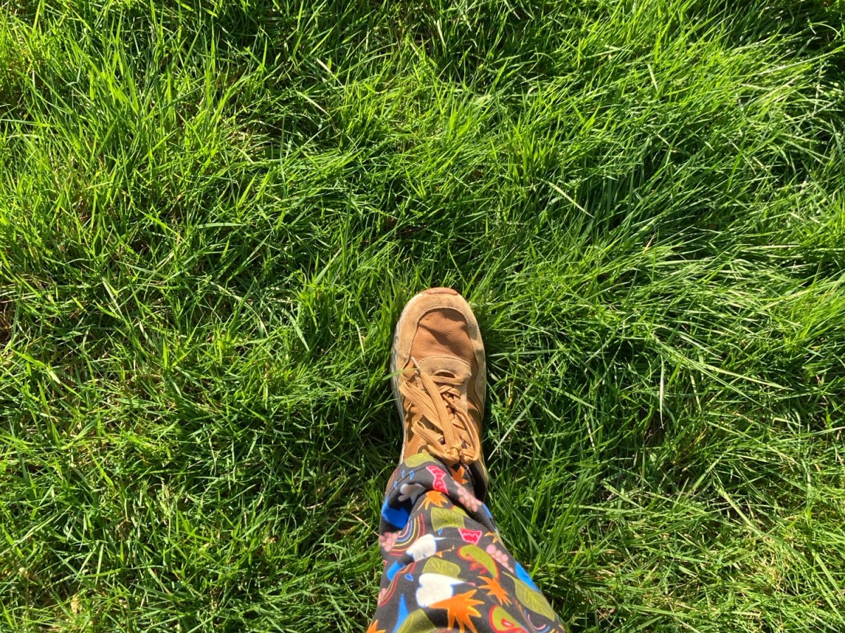 Mindful March: Nature as&nbsp;teacher