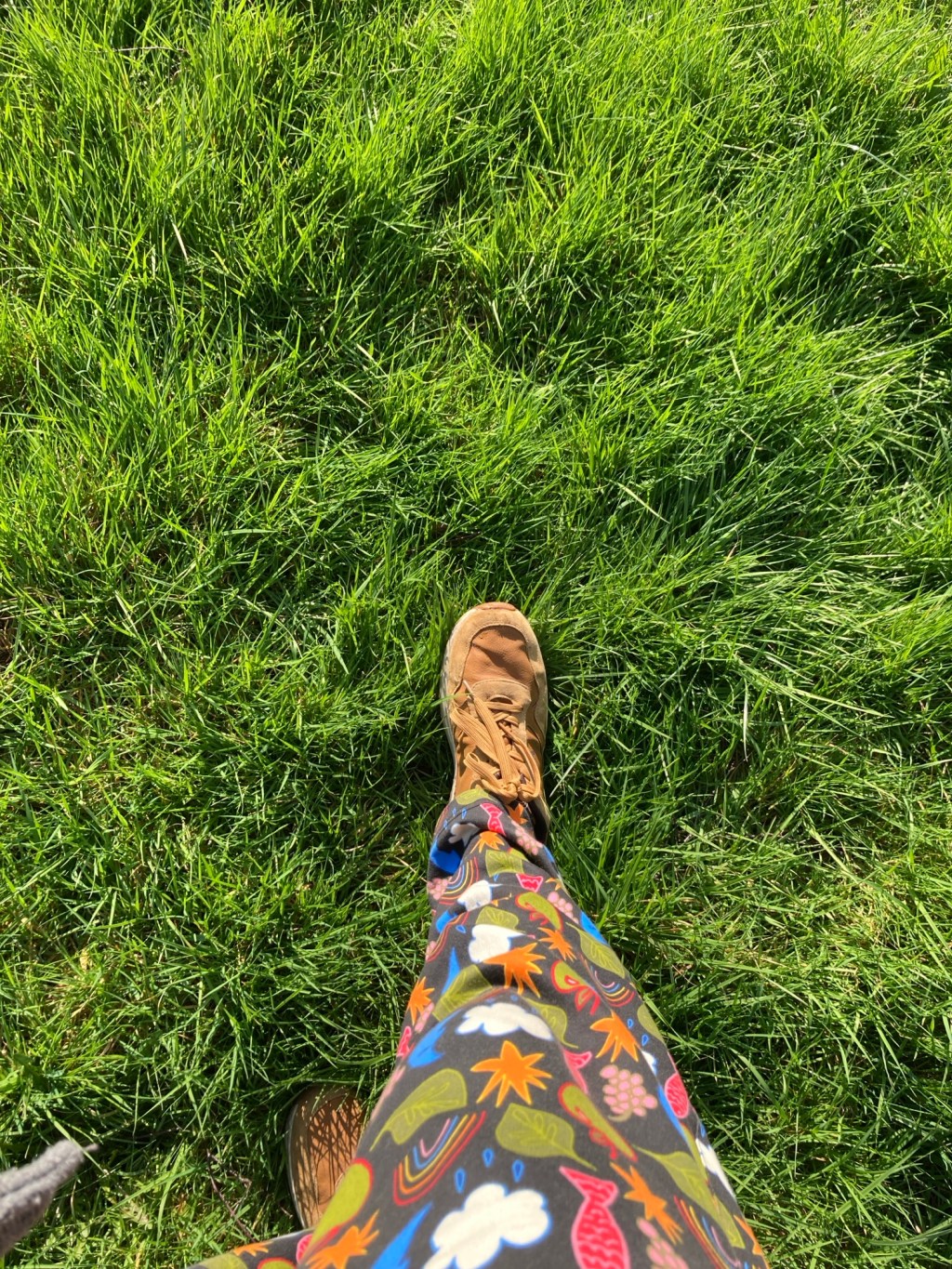 Mindful March: Nature as teacher